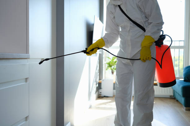 Best Emergency Mold Remediation  in Redway, CA