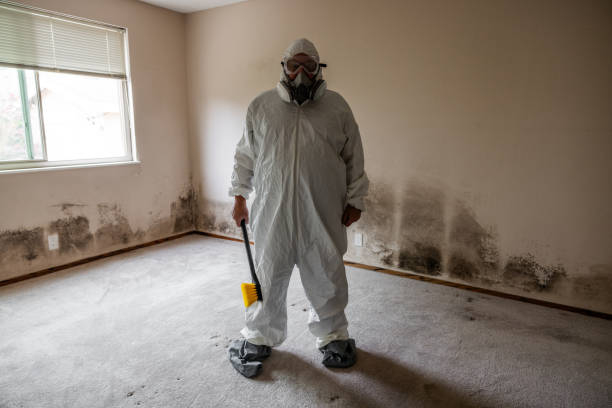 Best Biohazard Mold Removal  in Redway, CA